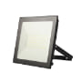 REFLECTOR ECOFLOODLIGHT DE 100W