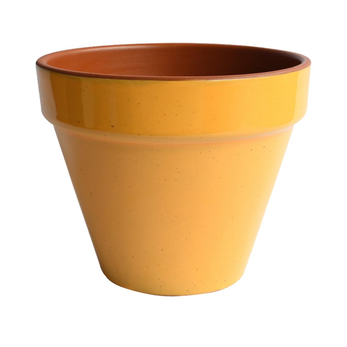 Maceta estandar 30 mostaza dijon