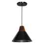 LÁMPARA COLGANTE VINTAGE DE METAL NEGRO Y COBRE BRILLANTE 1 LUZ MAXXI