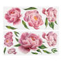STICKER GRANDE PEONIAS ROSAS