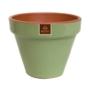 MACETA ESTÁNDAR 11 VERDE SALVIA