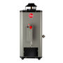 CALENTADOR DE PASO RHEEM DE 2 SERVICIOS, 10 L, GAS NATURAL