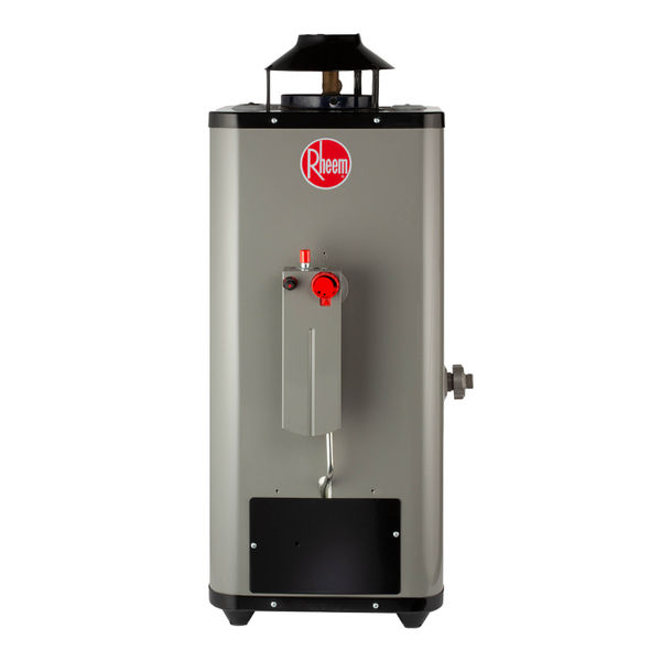 CALENTADOR DE PASO RHEEM DE 1 SERVICIO, 6 L, GAS NATURAL