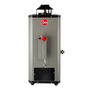 CALENTADOR DE PASO RHEEM DE 1 SERVICIO, 6 L, GAS NATURAL