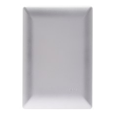 PLACA DE PARED CIEGA PLATA