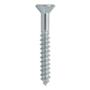 6 TORNILLOS PARA MARA 1-3/4PULGADA PLATA