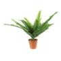 SET DE PLANTAS ARTIFICIALES HELECHOS 43 X 36 X 34 CM CON MACETA DE CEMENTO 2 PIEZAS