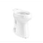 TAZA PARA SANITARIO HIGHLINE TALL