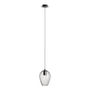 LÁMPARA COLGANTE VINTAGE DE ACERO NEGRO MATE 1 LUZ NEWTOWN