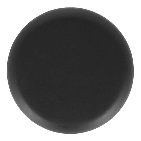 PERILLA 3.5 X 2.5 CM NEGRO