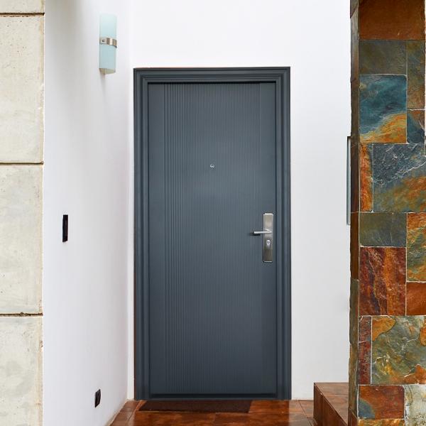 PUERTA DE SEGURIDAD BASIC 8P GRIS IZQUIERDA 96 X 213 CM