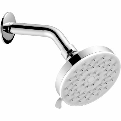 REGADERA CEBOLLA CON BRAZO Y CHAPETÓN