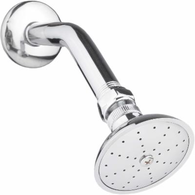 REGADERA CON BRAZO DE LATON Y CHAPETON