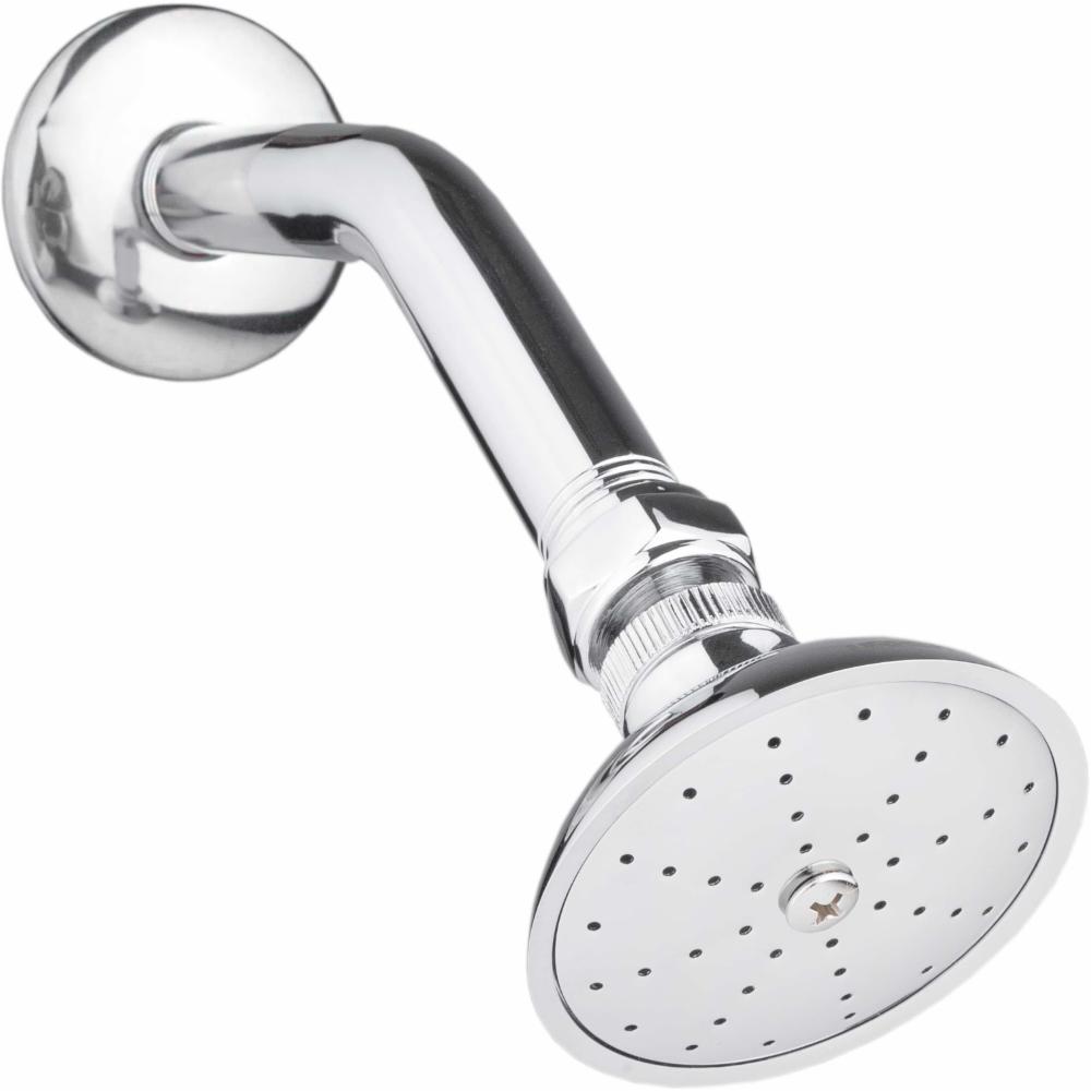 Regadera con brazo de laton y chapeton