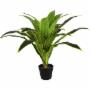 PLANTA ARTIFICIAL DECORATIVA PALO DE BRASIL NEYTRON 67CM DE ALTURA CON MACETA PARA FACIL INSTALACION