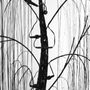 Description img 6