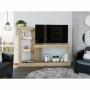 RACK PARA TV MINOTTI DUNA