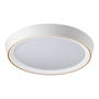 LÁMPARA DE TECHO LED 5.9 X 37.9 CM BLANCO