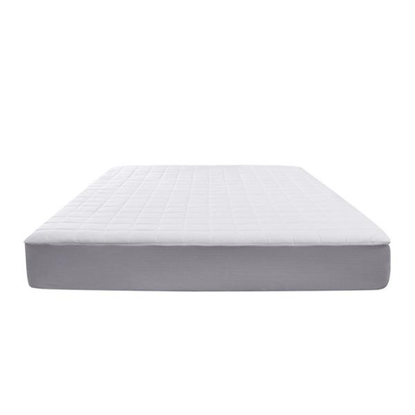Protector Original Qs