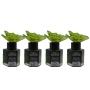 PACK 4 FLOR 50 ML BAMBU