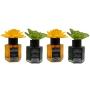 PACK 4 FLOR 50 ML BAMBU, CITRICO Y BERGAMOTA