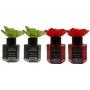PACK 4 FLOR 50 ML FRUTOS ROJOS Y BAMBU