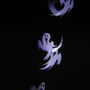 Description img 6