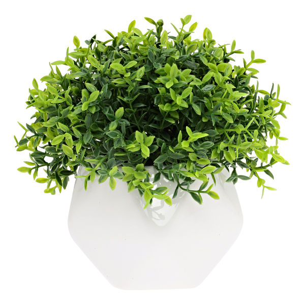 PLANTA DEC. SUCULENTA SB 13X13CM