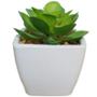 PLANTA ARTIFICIAL PEYTON - VERDE Y BLANCO