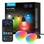 GOVEE GUIRNALDA DE LUCES SMART 14.5M
