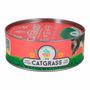CATGRASS PASTO DE TRIGO PARA GATOS