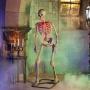 DECORACIÓN ANIMADA SKELLY ANIMADO CON APP 1.9M