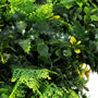 Description img 5