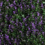 Description img 5