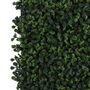 Description img 5