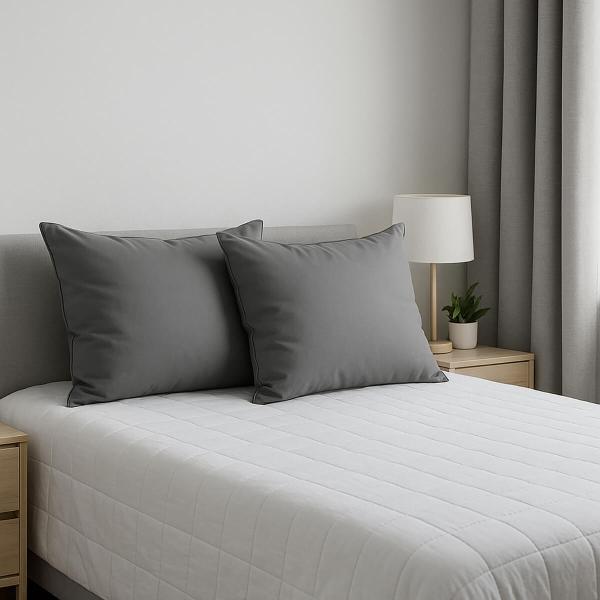 ALMOHADA 2-PACK (2 ALMOHADAS) DICASA