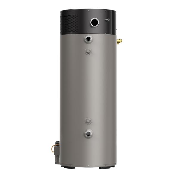 CALENTADOR DE AGUA DE DEPÓSITO TRITON 100 GAL GAS NATURAL | The Home ...
