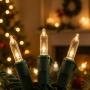 LUCES NAVIDEÑAS MINI LED BLANCO CÁLIDO 7.31 M 100 FOCOS