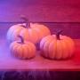 SET DE DECORACIÓN HALLOWEEN CALABAZAS MARFIL 21 CM