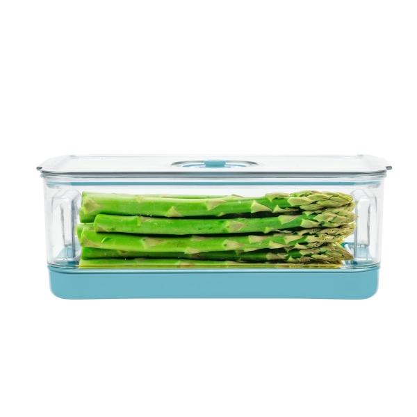 CONTENEDOR PARA ALIMENTOS CON BLOQUE DE HIELO 2.9L