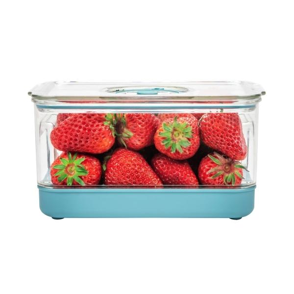 CONTENEDOR PARA ALIMENTOS CON BLOQUE DE HIELO 1.1L