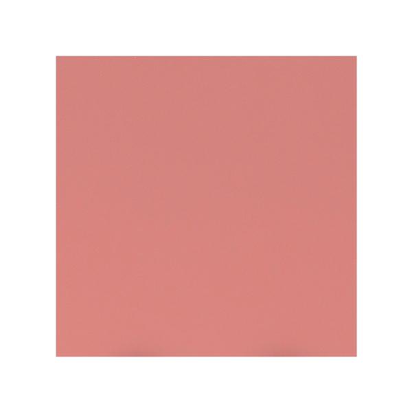 LAMINA DE ACRILICO CORAL .40X.40