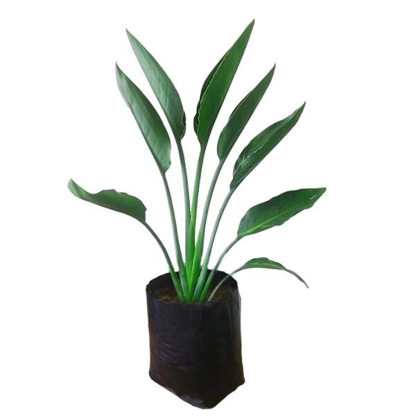 PLANTA AVE DE PARAISO B28 L