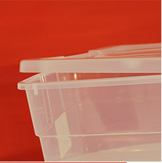 CAJA ZAPATERA MEDIANA 15 L | The Home Depot México