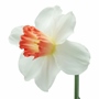 Description img 5