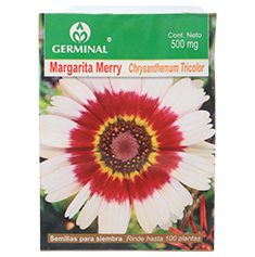 SEMILLA MARGARITA MERRY 107