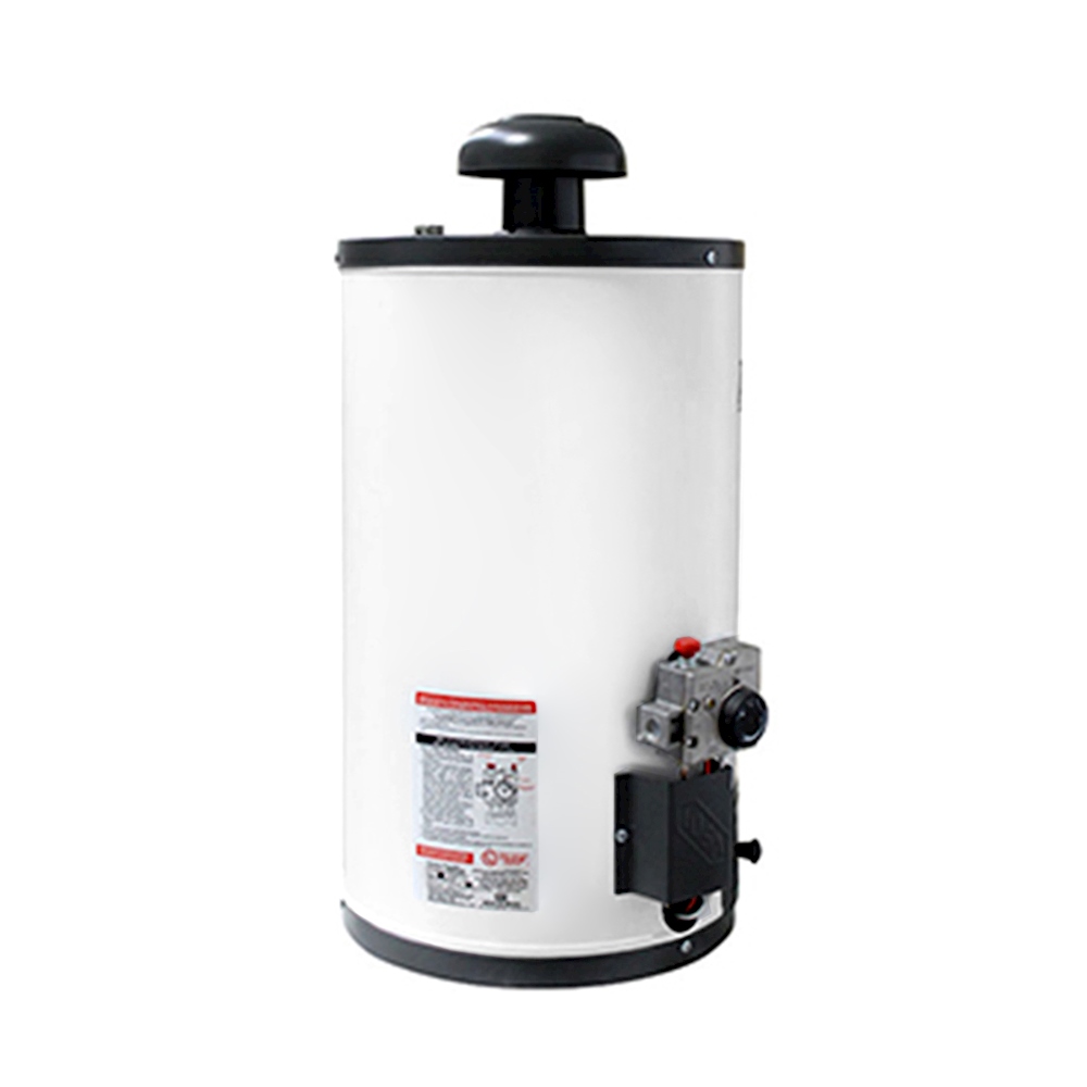 Calentador de Agua de Depósito IUSA Enerhit 40LT de 1 Servicio Gas LP