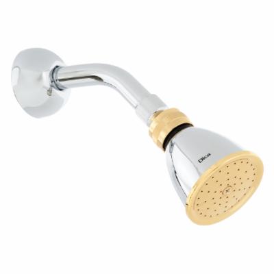 REGADERA CON BRAZO Y CHAPETON CROMADO