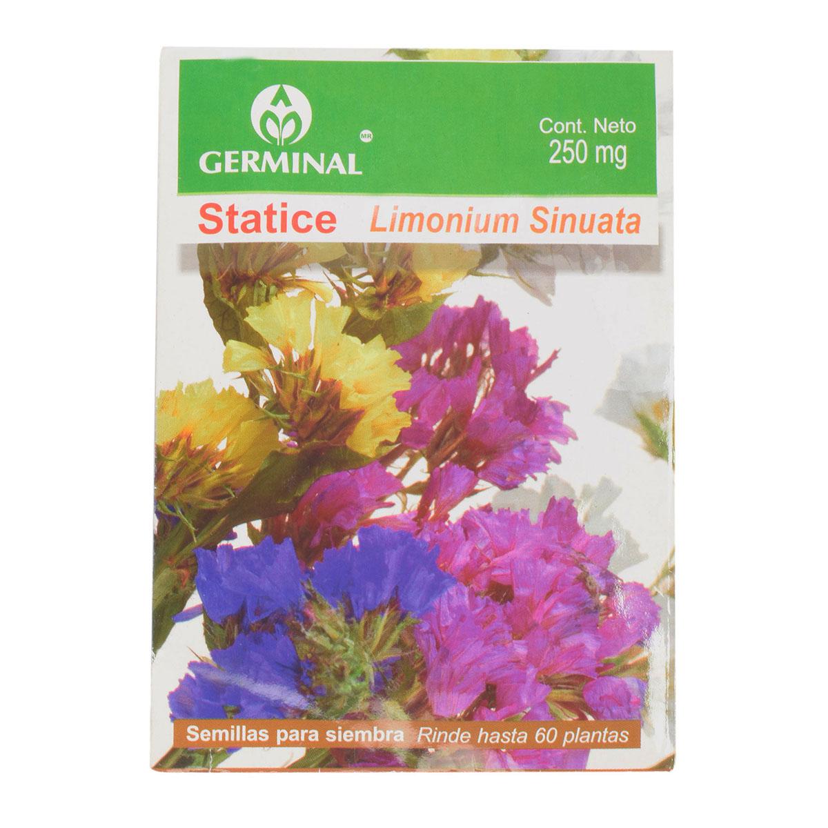 Semillas para siembra statice 250 mg multicolor germinal