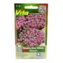 SEMILLAS DE PANALILLO ALYSSUM 0.3 GR VIOLETA VÍTA